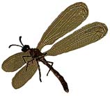 Educational Resources